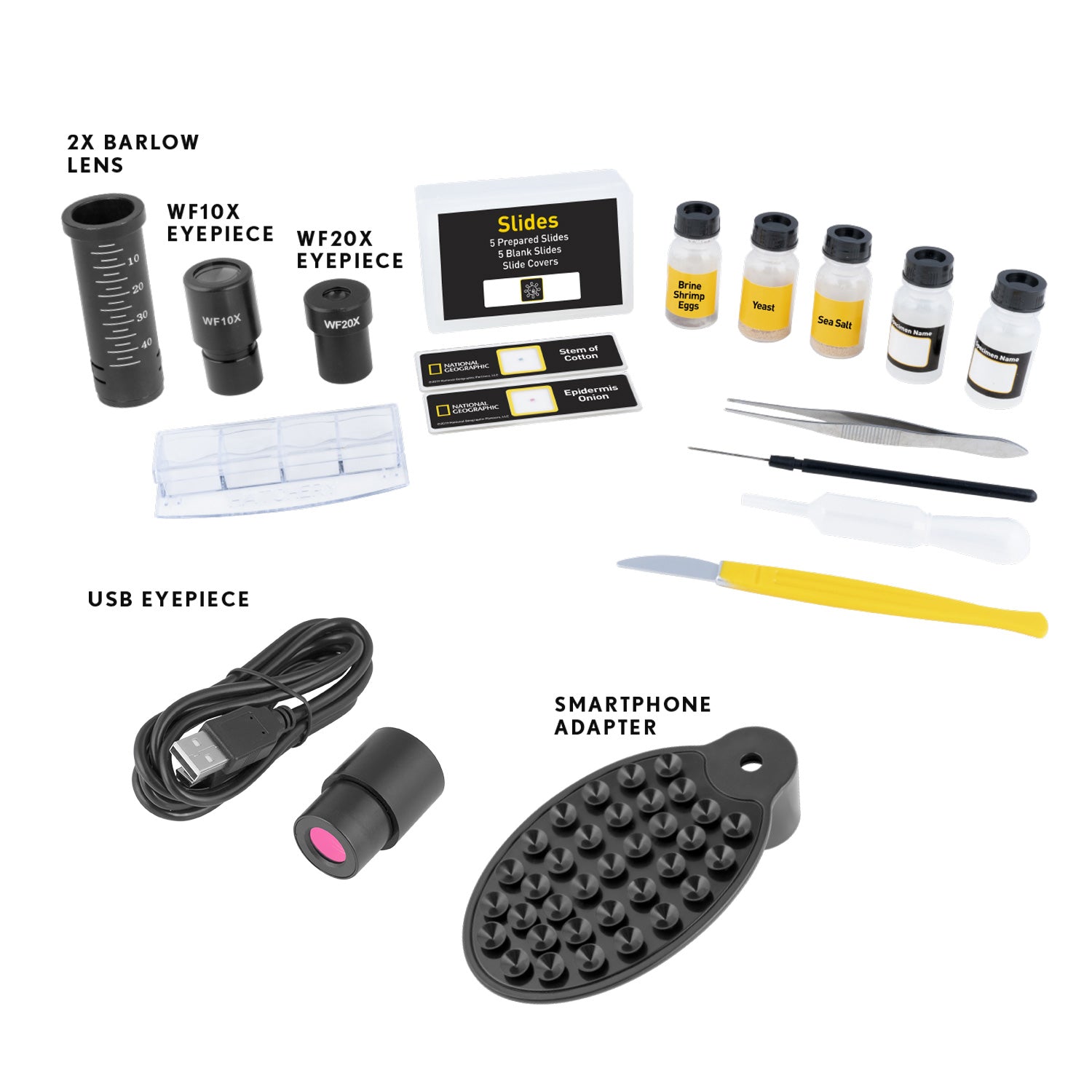 Microscopio nazionale geografico 40x-1600x con oculare USB